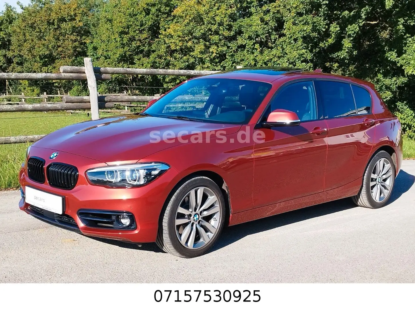 BMW 120 i Sport Aut Nav ACC AdLED RFK DrivA GSD Leder Orange - 1