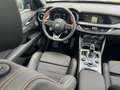 Alfa Romeo Stelvio Intensa Q4 2.0 AHK-el. klappb. Panorama Digitales Schwarz - thumbnail 28