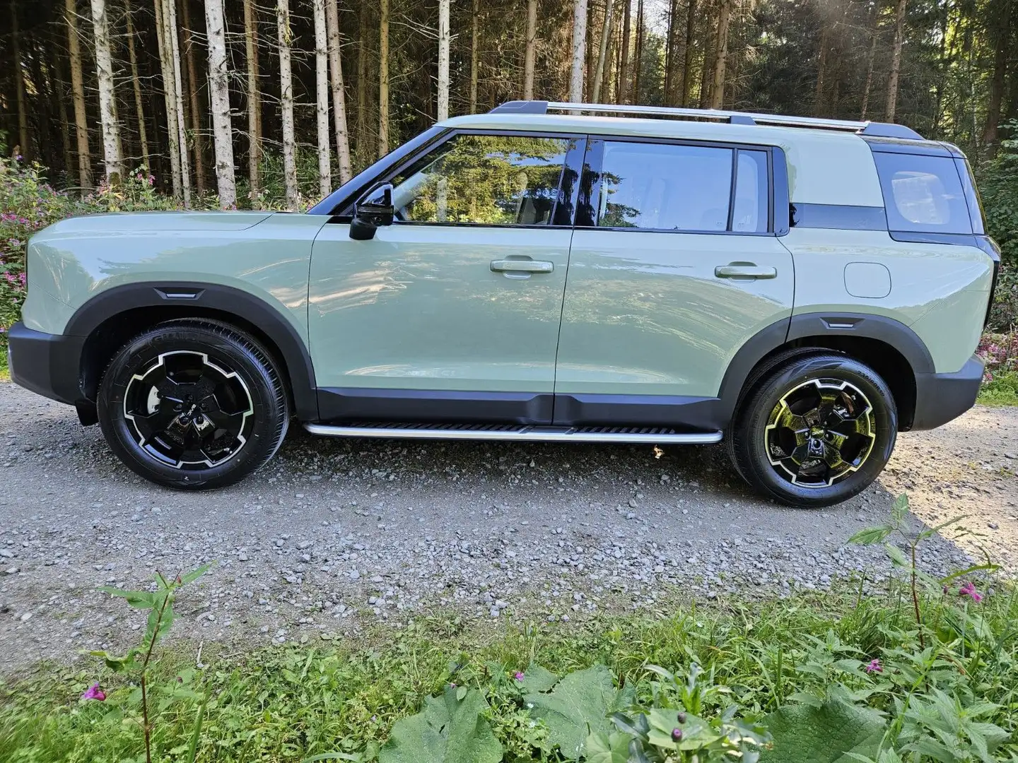 BAIC BJ30 PANO Leder CarPlay SHZ belüft inkl. ÜBF STM Grün - 2