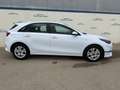 Kia Ceed / cee'd 1.0 T-GDI Concept 100 Blanco - thumbnail 4