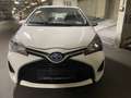 Toyota Yaris 1,5 VVT-i Aut. Hybrid Weiß - thumbnail 2