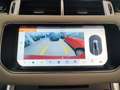 Land Rover Range Rover Sport 3.0 TDV6 HSE Dynamic auto Tetto Pelle Cerchi 22” Rouge - thumbnail 38