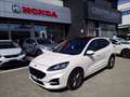 Ford Kuga 2.0 ecoblue mhev st-line x 2wd 150cv Bianco - thumbnail 1