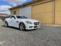 Mercedes-Benz SLK 250 d Premium auto - thumbnail 5