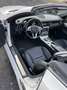 Mercedes-Benz SLK 250 d Premium auto - thumbnail 7