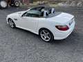 Mercedes-Benz SLK 250 d Premium auto - thumbnail 6