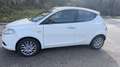 Lancia Ypsilon 1.2 8v Platinum ecochic Gpl 69cv Bianco - thumbnail 8