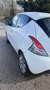 Lancia Ypsilon 1.2 8v Platinum ecochic Gpl 69cv Bianco - thumbnail 9