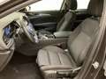 Opel Insignia GS 1,5 CDTI DVH Business Braun - thumbnail 30