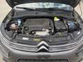 Citroen C4 Cactus Shine, NAVI, Kamera, Keyless Zahnriemen NEU Grau - thumbnail 19