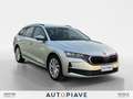 Skoda Octavia Octavia 2.0 TDI 150 CV DSG Wagon Executive Argent - thumbnail 7