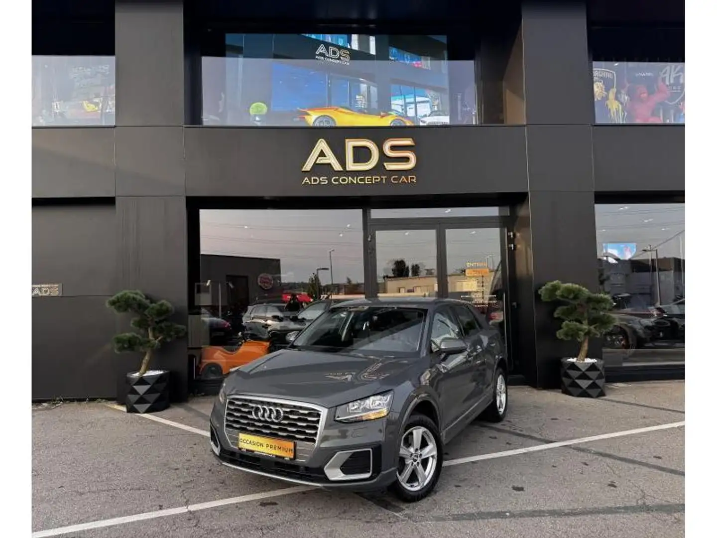 Audi Q2 Sport 2017 Gris - 1