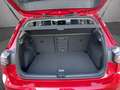 Volkswagen Golf VIII Goal 1.5 eTSI DSG/AHV/Matrix/RFK/NAVI Rot - thumbnail 10