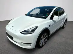 Tesla Model Y Long Range AWD | Autopilot | Pano | AHK
