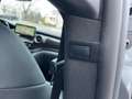 Mercedes-Benz V 250 d AVANTGARDE Burm|TWA|360|Night|Distronic Grau - thumbnail 19