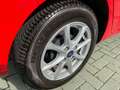 Ford Fiesta 5p 1.1 Titanium 38000 KM!!! PERFETTA!! OK NEOPATEN Rosso - thumbnail 13