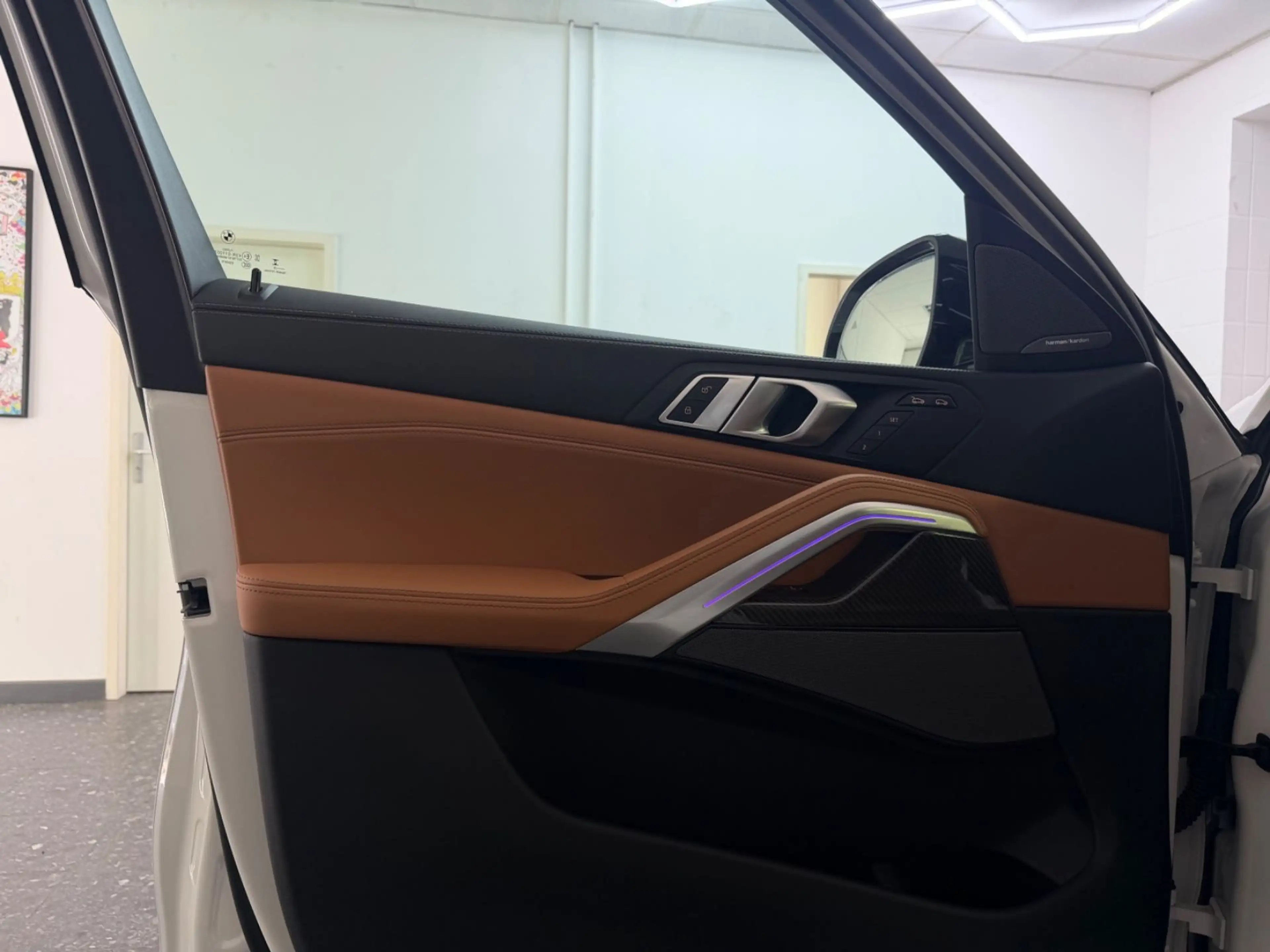 BMW X6 30d M-SPORT PANO HUD H&K 360° ICONIC CARBON — photo 9