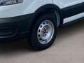 Ford Transit Kasten 310 L2 H2 Basis +KLIMA+PDC+TEMPOMAT Alb - thumbnail 6