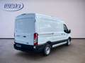 Ford Transit Kasten 310 L2 H2 Basis +KLIMA+PDC+TEMPOMAT Alb - thumbnail 3