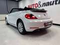 Volkswagen Maggiolino CABRIO 1.6 TDI DESIGN 105CV Blanc - thumbnail 31