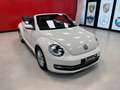 Volkswagen Maggiolino CABRIO 1.6 TDI DESIGN 105CV Blanc - thumbnail 29