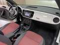 Volkswagen Maggiolino CABRIO 1.6 TDI DESIGN 105CV Blanc - thumbnail 47