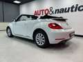 Volkswagen Maggiolino CABRIO 1.6 TDI DESIGN 105CV Blanc - thumbnail 5
