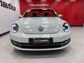 Volkswagen Maggiolino CABRIO 1.6 TDI DESIGN 105CV Blanc - thumbnail 3