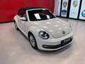 Volkswagen Maggiolino CABRIO 1.6 TDI DESIGN 105CV Blanc - thumbnail 19
