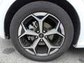 Ford Puma 1.0 EcoBoost MHEV ST-Line Aut. 125 Blanco - thumbnail 11