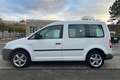 Volkswagen Caddy Kombi 1.9 /Tüv 11.2024/ALU Beyaz - thumbnail 8