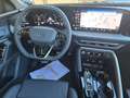 Audi Q5 Q5 40 2.0 tdi  12V Identity Black quattro s-tronic Vert - thumbnail 20