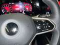 Volkswagen Golf GTI 2.0 TSI 180kW 245CV DSG Weiß - thumbnail 25