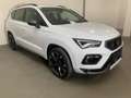 CUPRA Ateca Ateca 1.5 TSI DSG 150 Weiß - thumbnail 3