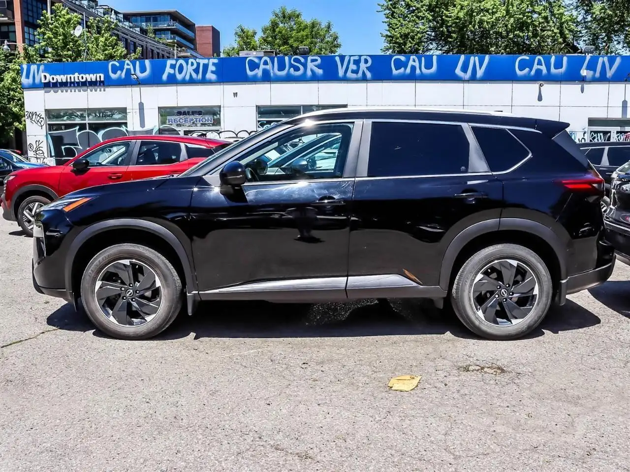 Nissan Rogue fotografie Nissan Rogue