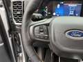 Ford Ranger Ranger Doppelkabine Wildtrak e-4WD 2.3 EcoBoost... Silber - thumbnail 10