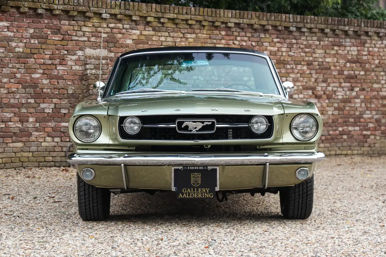 Ford Mustang GT A-Code "The Dutch most award-winning Mustang" T, foto 5
