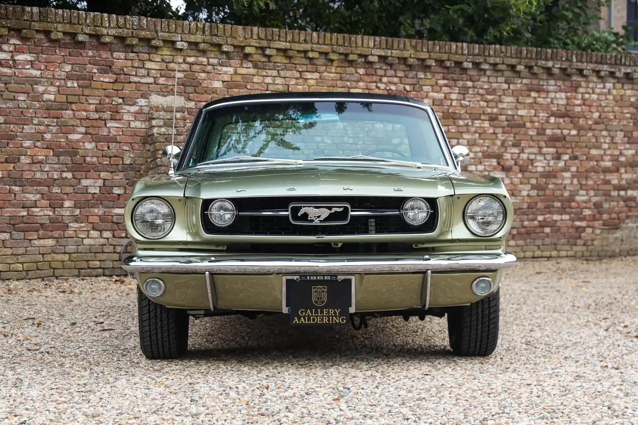 Ford Mustang GT A-Code "The Dutch most award-winning Mustang" T, foto 12