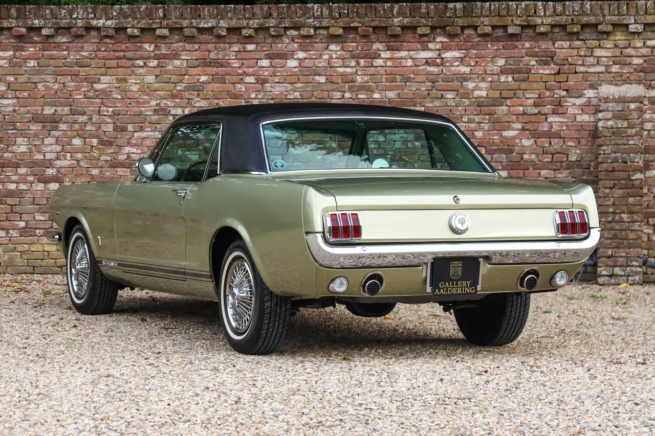 Ford Mustang GT A-Code "The Dutch most award-winning Mustang" T, foto 2