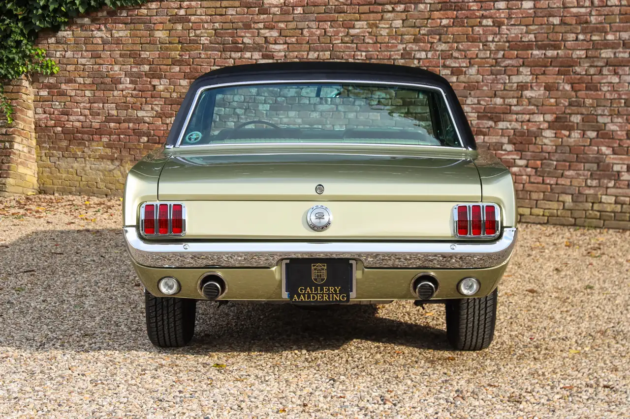 Ford Mustang GT A-Code "The Dutch most award-winning Mustang" T, foto 6