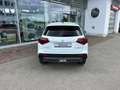 Suzuki Vitara 1.4 Boosterjet 129 PS Hybrid - Comfort Alb - thumbnail 6