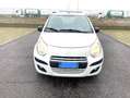 Suzuki Alto 1.0 GLX Bianco - thumbnail 2