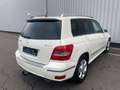 Mercedes-Benz GLK 250 CDI 4Matic Leder Panorama White - thumbnail 4