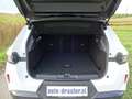 Opel Grandland 1.2 48V Mild- Hybrid 100 kW Edition Weiß - thumbnail 8