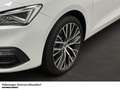 SEAT Leon 1.5 TSI DSG XCELLENCE Rückfahrkamera Bianco - thumbnail 9