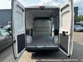 Opel Movano C 2.2 Kasten HKa L2H2 3,5t Edition*Klima Weiß - thumbnail 9