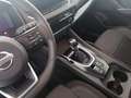 Nissan Qashqai 1.3 mild hybrid Tekna 2wd 140cv Blau - thumbnail 4