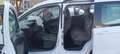 Ford Tourneo Courier 1.5 TDCI 5 POSTI INCIDENTATO Bianco - thumbnail 9