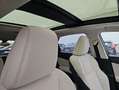 Lexus NX350h 4x4 Luxury Line + Panorama Modell2025 NX350 Grün - thumbnail 13