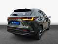 Lexus NX350h 4x4 Luxury Line + Panorama Modell2025 NX350 Grün - thumbnail 2